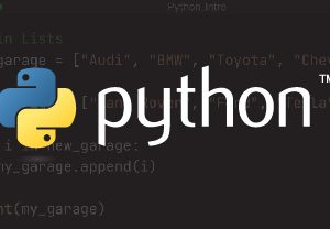 Python banner-01