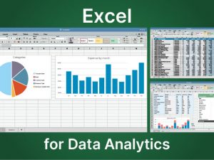 Excel for Data Analytics-06-06